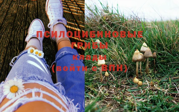 марки lsd Осинники
