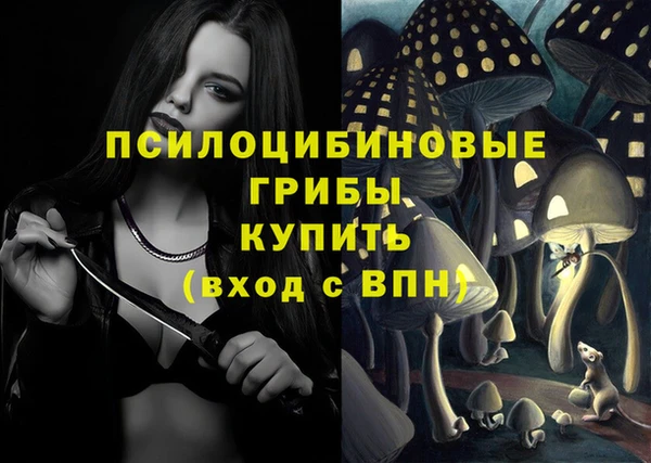 гашиш Осташков