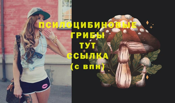 марки lsd Осинники