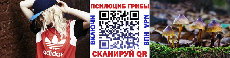 как найти наркотики  Азов  Галлюциногенные грибы ЛСД 